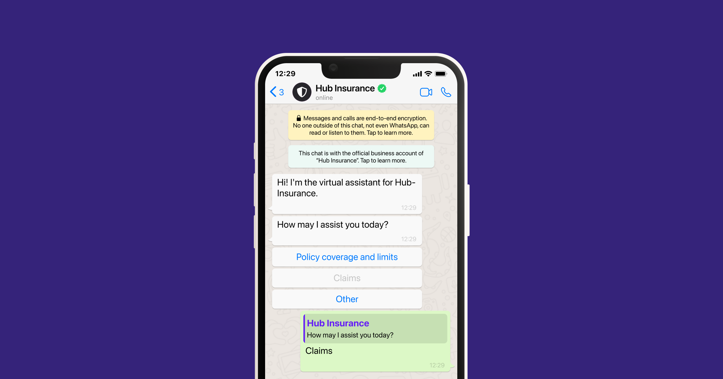 Mockup conversation with insurance chatbot